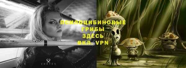 шишки Арсеньев
