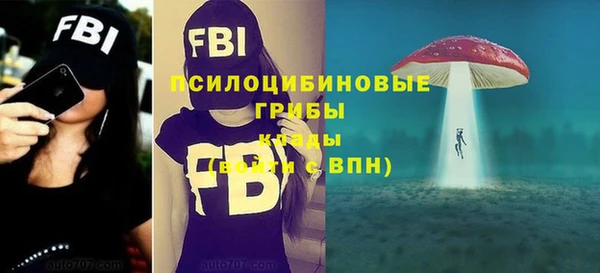 шишки Арсеньев