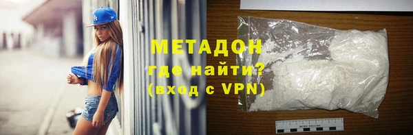 шишки Арсеньев