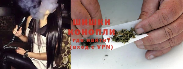 шишки Арсеньев