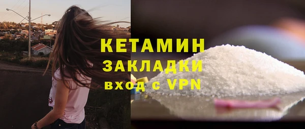 шишки Арсеньев