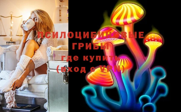 шишки Арсеньев