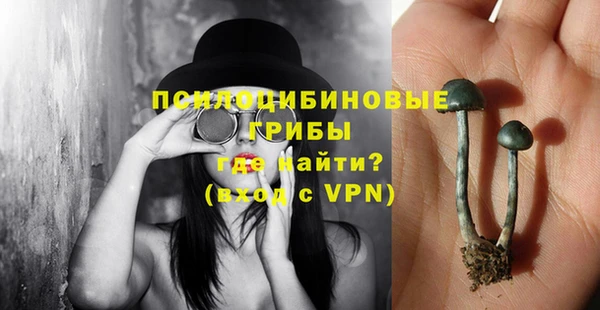 шишки Арсеньев