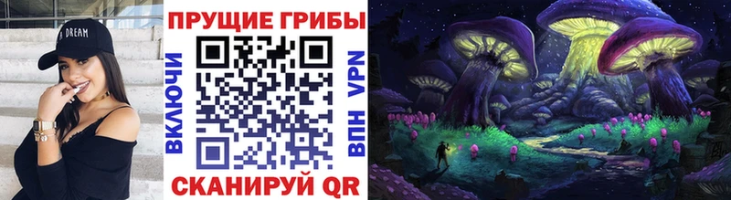 Купить закладки  Очёр  Галлюциногенные грибы Psilocybine cubensis 